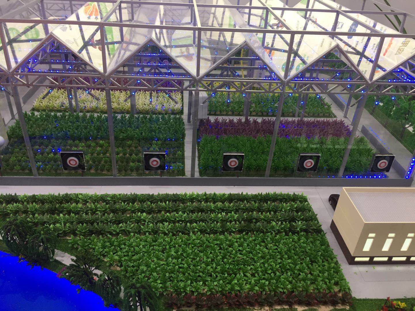 Greenhouse and farmland model with structural framing